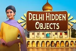 Delhi Hidden Objects
