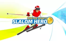 Slalom Hero