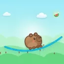 Capy Slide